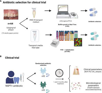 Personalized antibiotic selection in periodontal treatment improves clinical and microbiological outputs